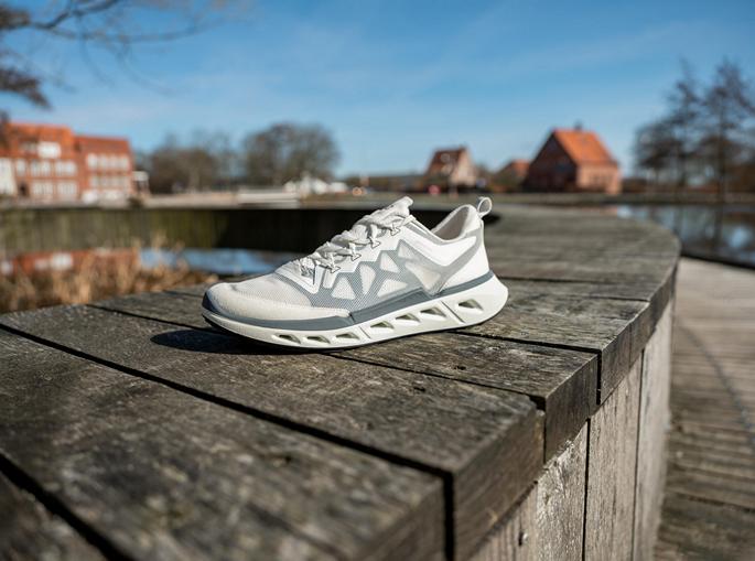 ECCO BIOM 720